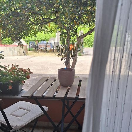 Wilson & Andrew House - Wanderlust Apartment Avliotai Ngoại thất bức ảnh
